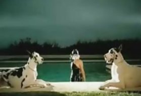 Mais pornografia online lady gaga bj comp. pornô imagens vídeos filmes online
